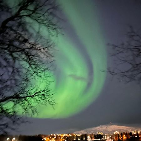 Beijing Home Tromsø Dış mekan fotoğraf